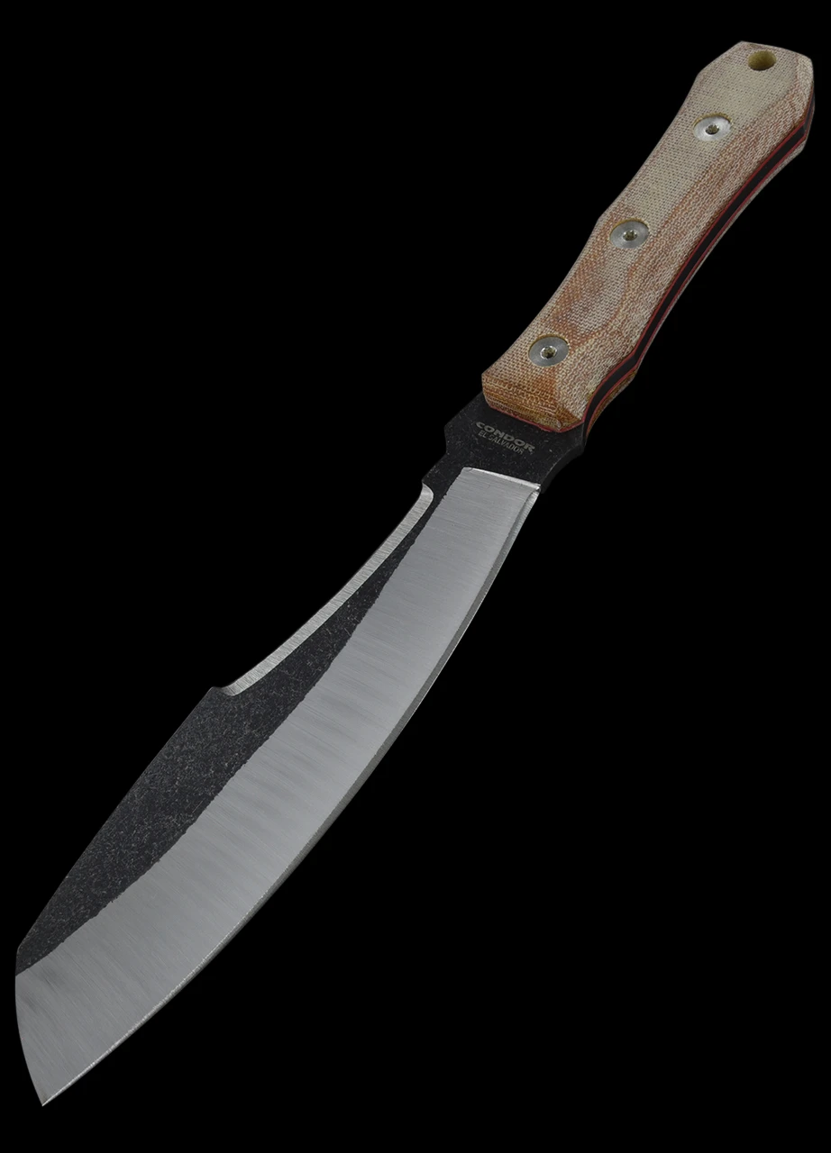 Condor Mountain Pass Surveyor 3 Condor Mountain Pass Surveyor