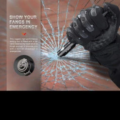 Fenix T6 Halberd V2 Pen Light 33 Fenix T6 Halberd V2 Pen Light -Outdoor Equipment FENIX T6 BK v201DET4 55151.1668682723.1280.1280 20982.1670406152.1280.1280 11970.1670421014