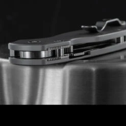 Titech Para Military 2 Plain Titanium Scales -Outdoor Equipment HH SC P P2 55758.1636458827