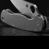 Titech Spyderco PM2 Stone Washed Titanium Scales -Outdoor Equipment HH SC SW P2.3 41263.1635785472