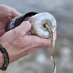 Rapid Rope Canister -Outdoor Equipment RRPC6010det5 05809.1640877901